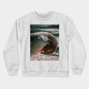 Lake Goose Wildlife Nature Photography Crewneck Sweatshirt